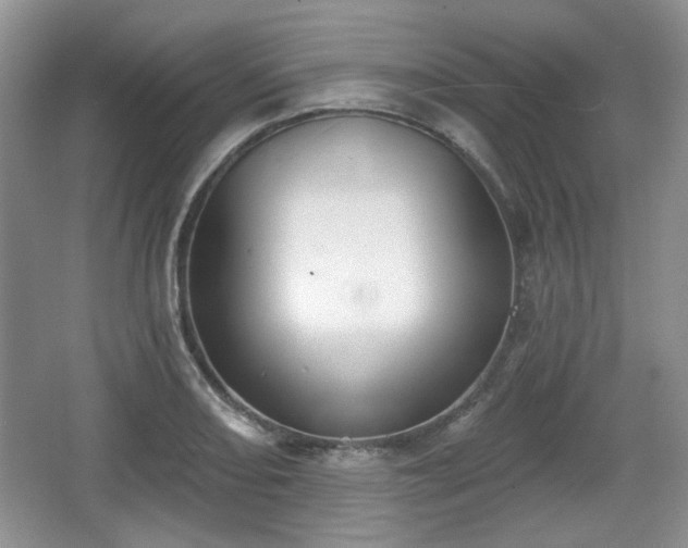 X0000067331082200604071319