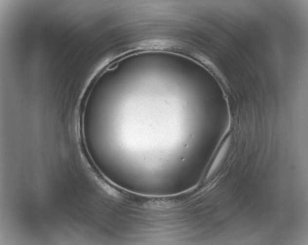 X0000067331083200604071319