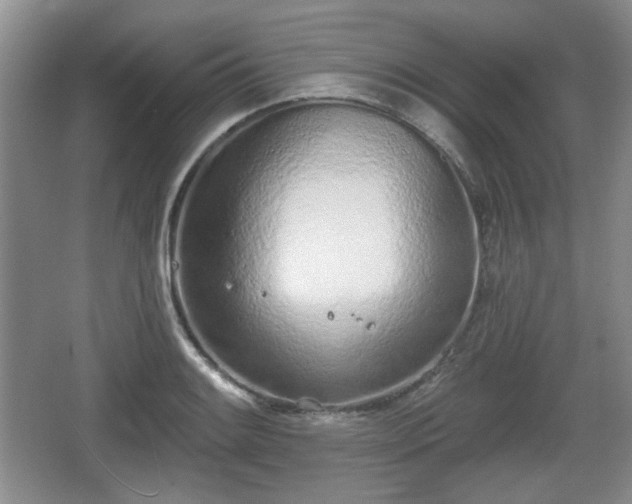 X0000067331084200604071319