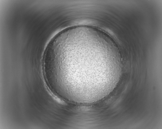 X0000067331086200604071319