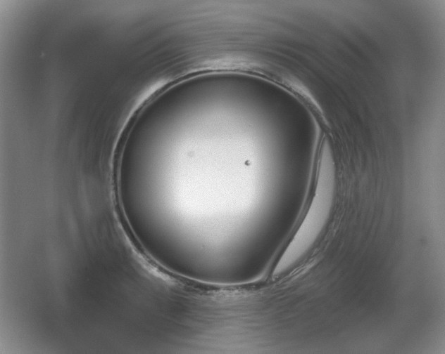 X0000067331087200604071319