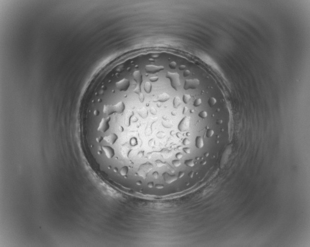 X0000067331088200604071319