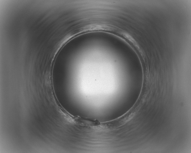 X0000067331089200604071319