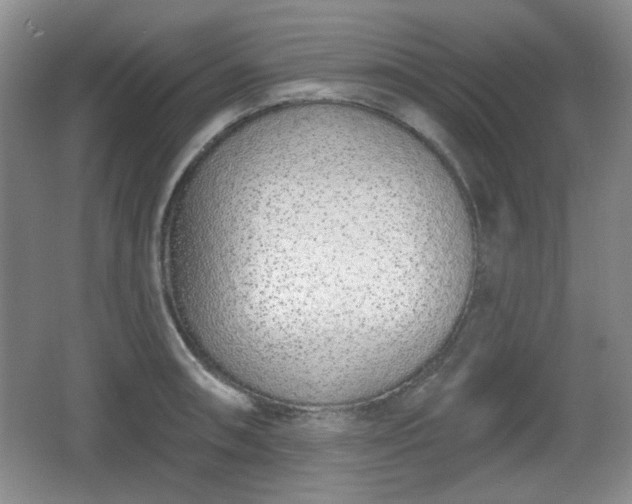 X0000067331090200604071319