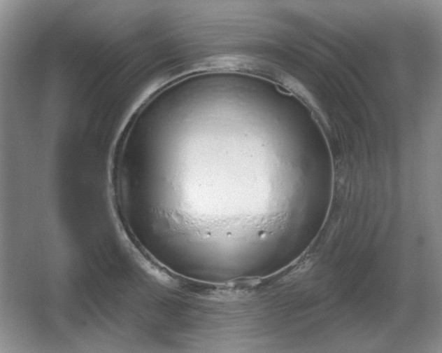 X0000067331091200604071319