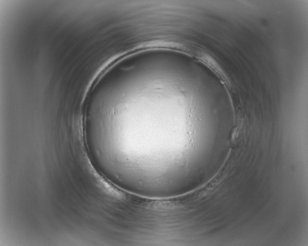 X0000067331092200604071319