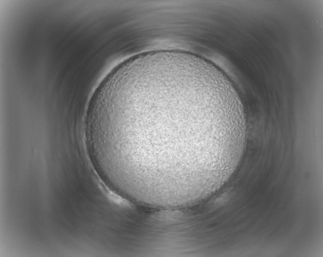 X0000067331094200604071319