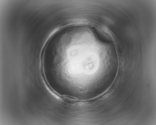 X0000067331095200604071319