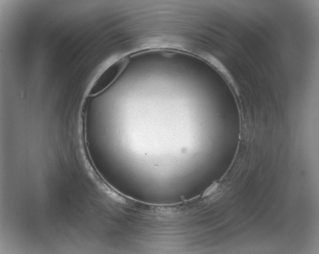 X0000067331096200604071319