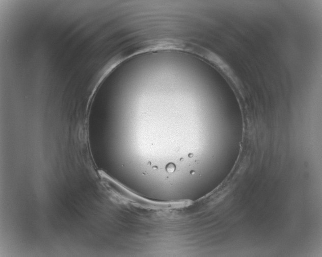 X0000067331097200604071319