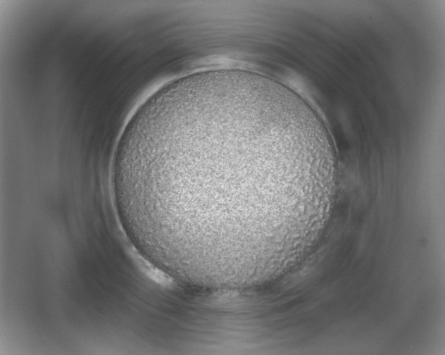 X0000067331098200604071319