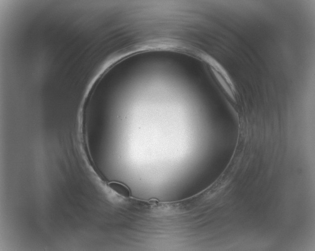 X0000067331099200604071319