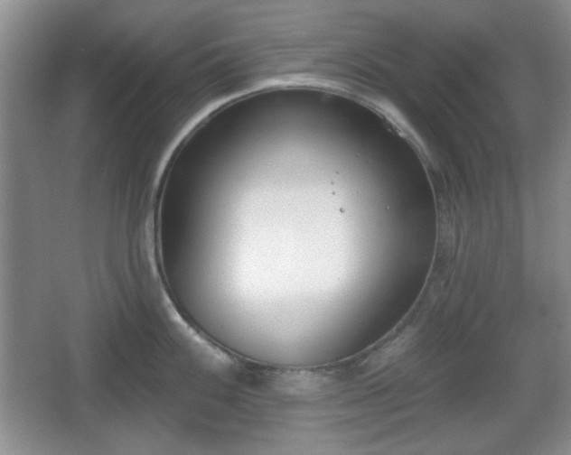 X0000067331100200604071319