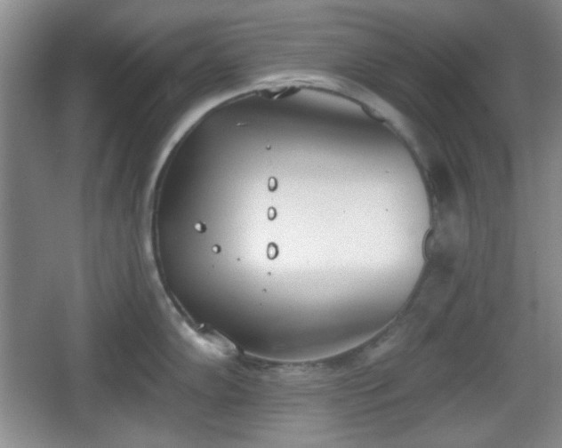 X0000067331102200604071319