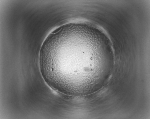 X0000067331103200604071319