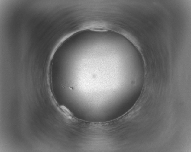 X0000067331104200604071319