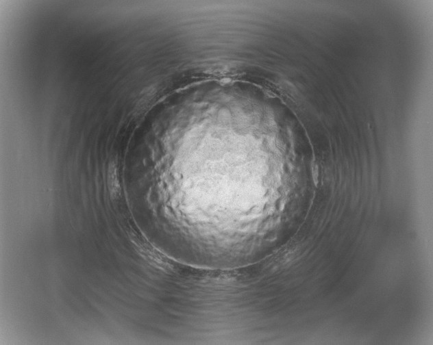 X0000067331106200604071318