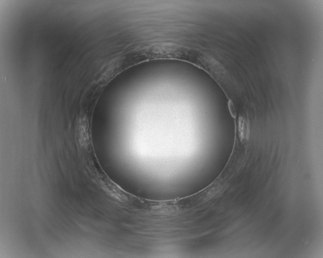 X0000067331107200604071318