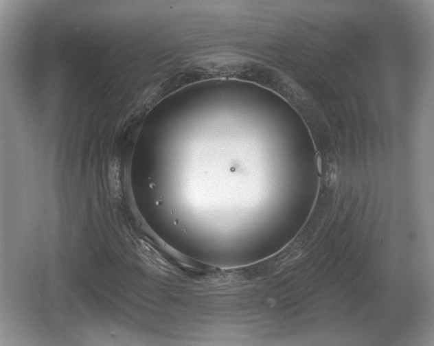 X0000067331108200604071318