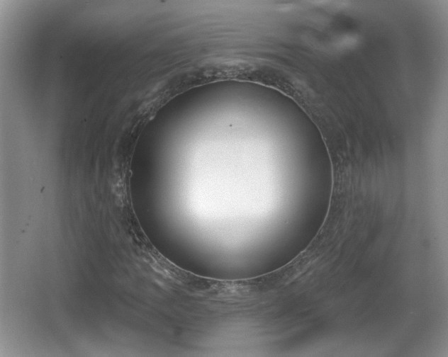 X0000067331109200604071318