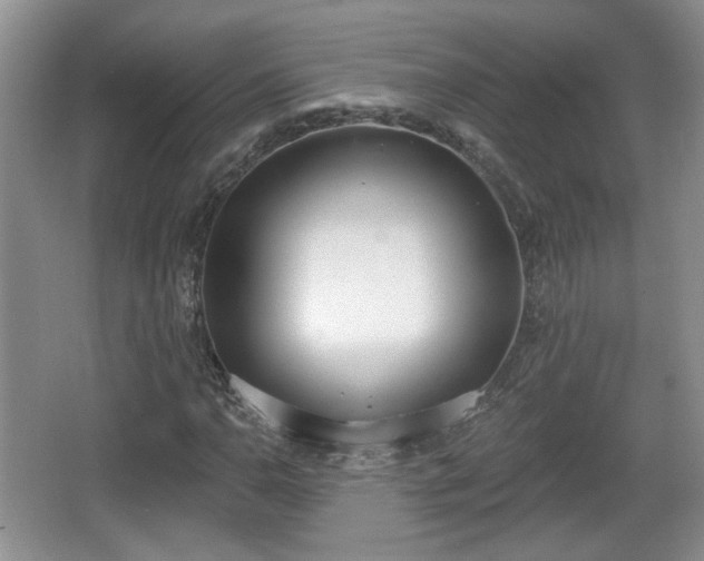 X0000067331110200604071318