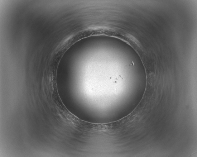 X0000067331111200604071318