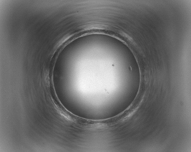 X0000067331113200604071318