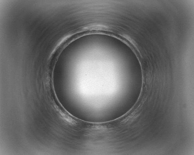 X0000067331115200604071318