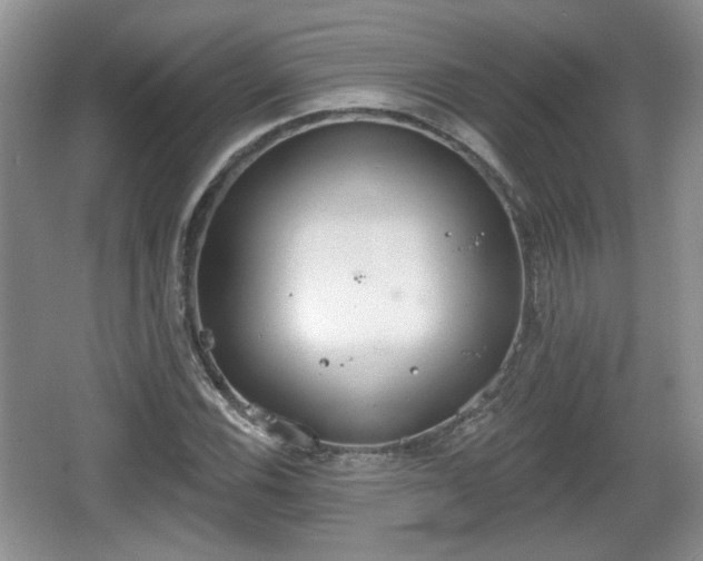 X0000067331116200604071318