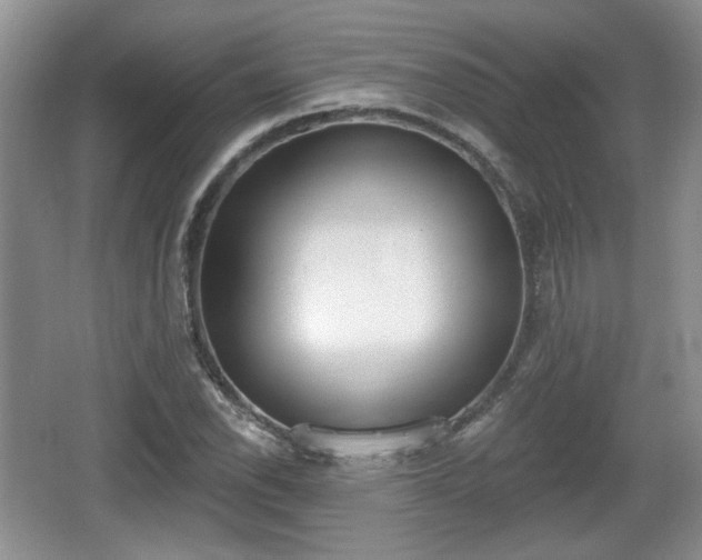 X0000067331118200604071318