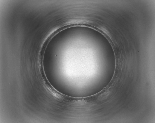 X0000067331119200604071318