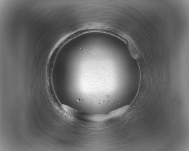 X0000067331120200604071318