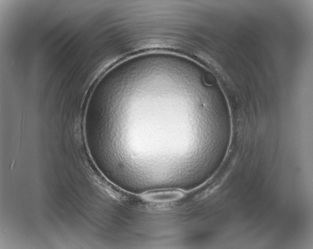 X0000067331121200604071318