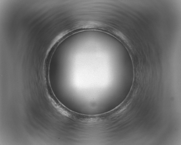 X0000067331122200604071318