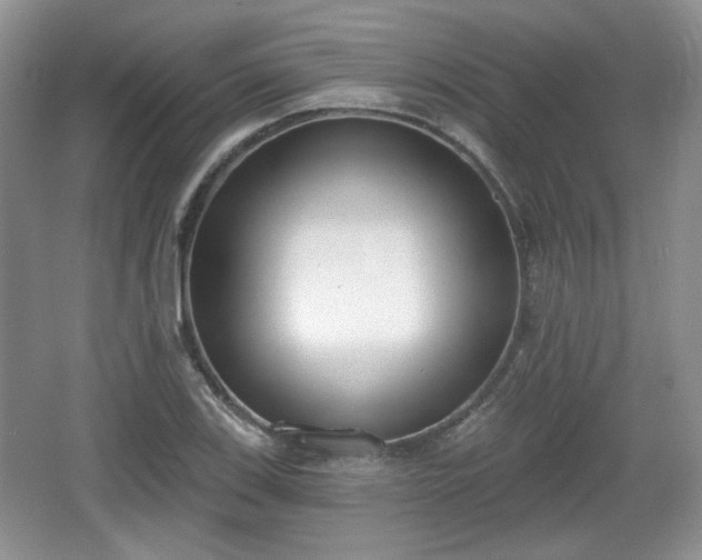 X0000067331123200604071318