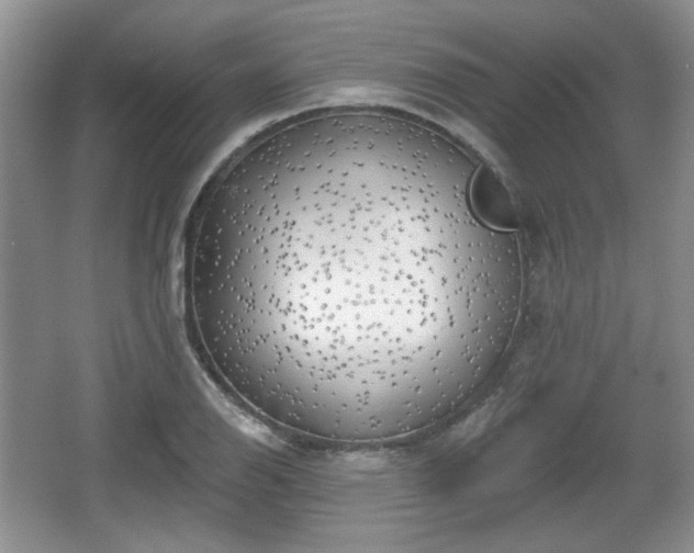 X0000067331126200604071318