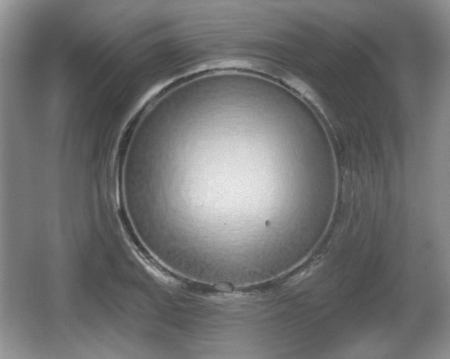 X0000067331127200604071318