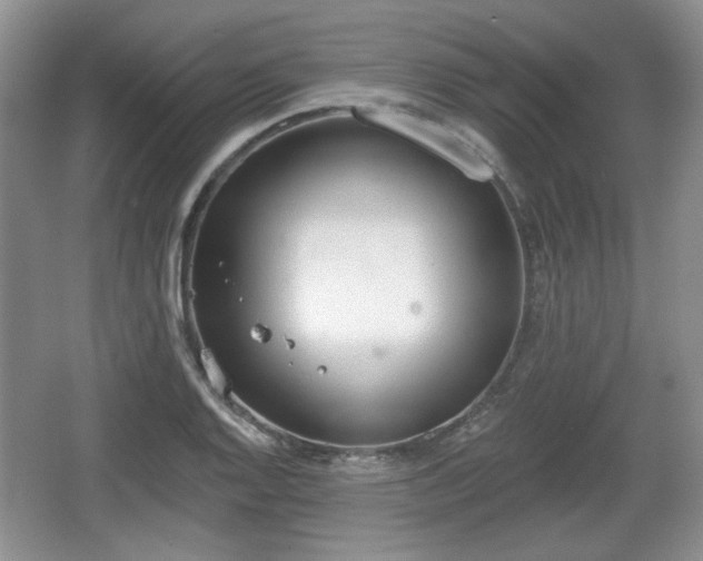 X0000067331128200604071318