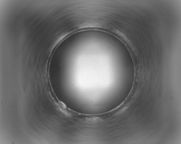 X0000067331129200604071318