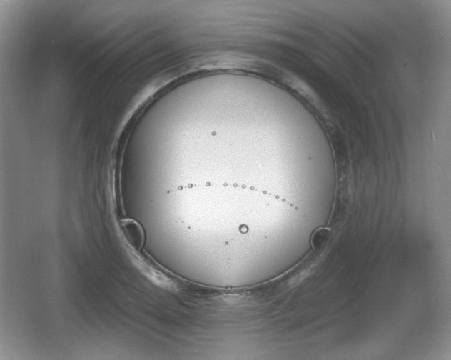 X0000067331130200604071318