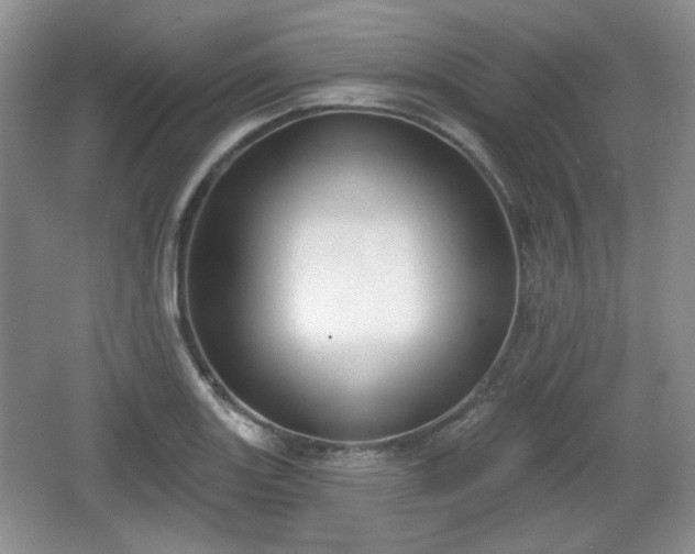 X0000067331131200604071318