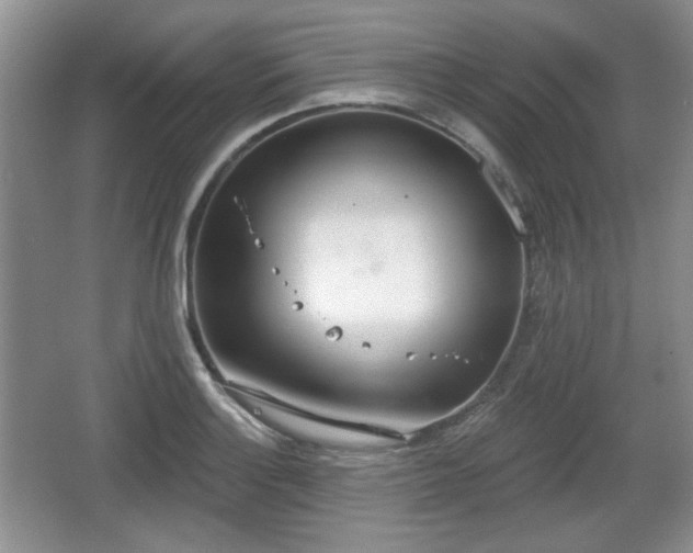 X0000067331132200604071318