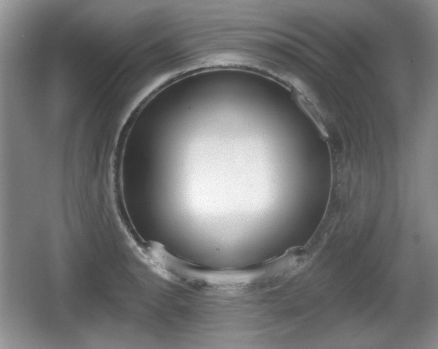 X0000067331134200604071318