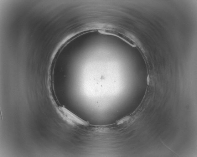 X0000067331136200604071318