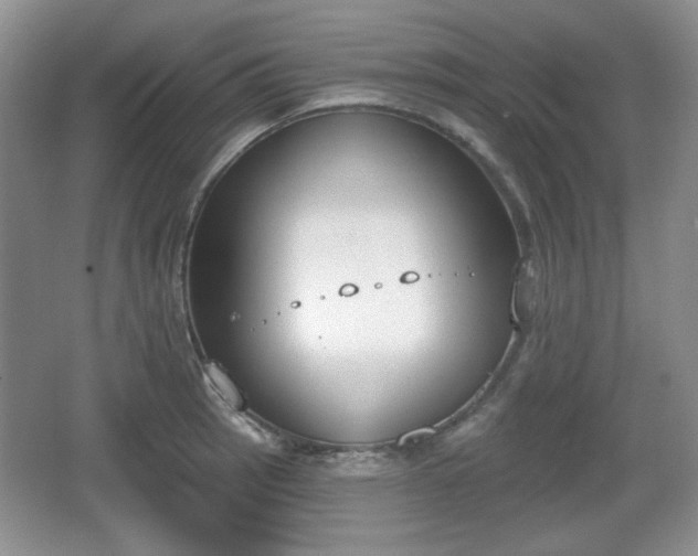 X0000067331137200604071318