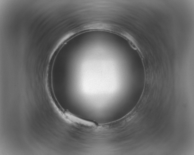 X0000067331139200604071318