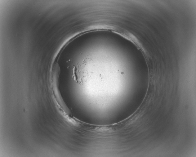 X0000067331140200604071318