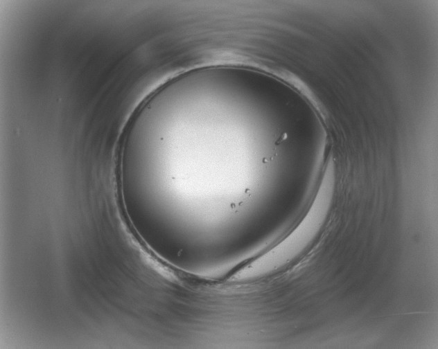 X0000067331142200604071318