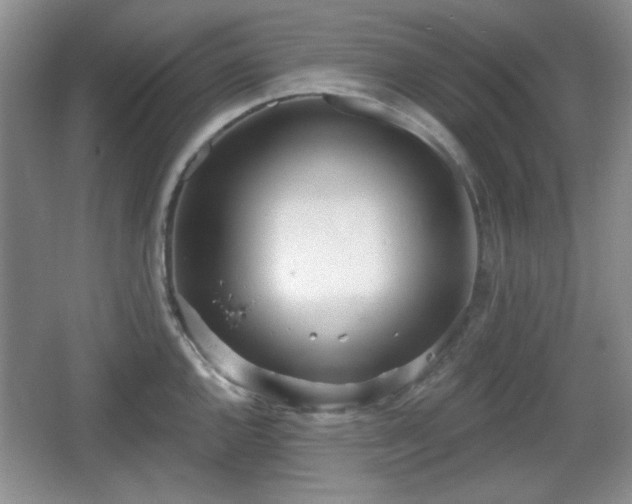 X0000067331144200604071318