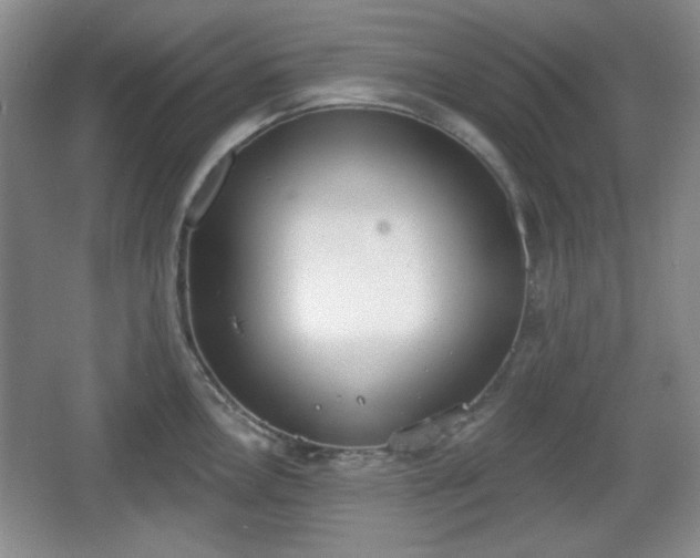 X0000067331146200604071318